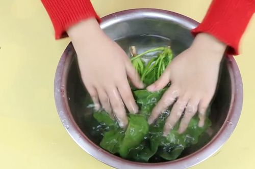 如何去除青菜上的农药残留？