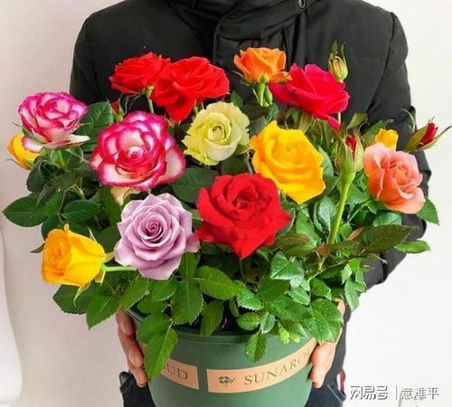 阳光的拥抱，自然的礼物