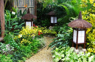 常见的园林景观植物有哪些？