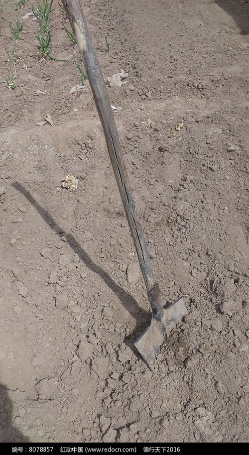 工具清单：哪些家伙事儿嫩派上用场？