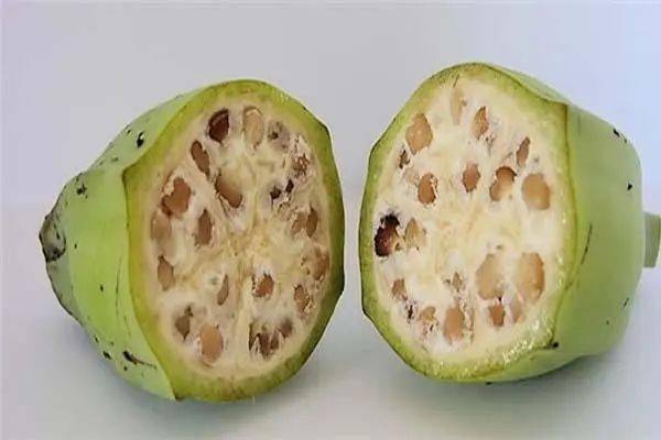 香蕉有种子吗？为什么超市里的香蕉都没有籽