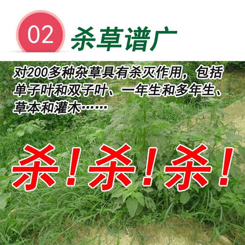 草胺磷能否与农药混用？使用后多长时间可播种？与哪些农药搭配除草效果佳？