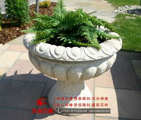 花盆里的别样情趣