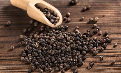 黑胡椒汁， 那神秘的林间味道