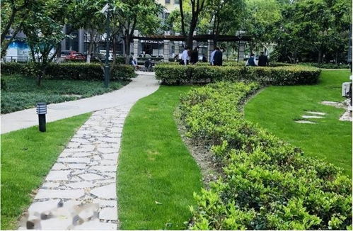 修剪工具大集合