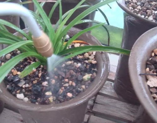 吡虫啉喷洒的Zui佳间隔