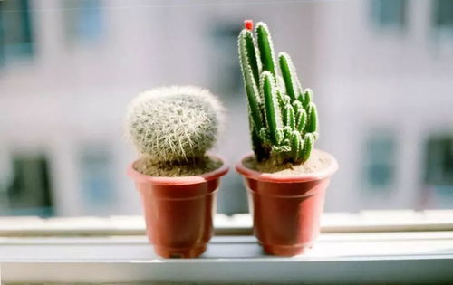 省下60%养护费的秘诀