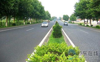 国道路边的植物，生存环境恶劣，得有三大生存法则