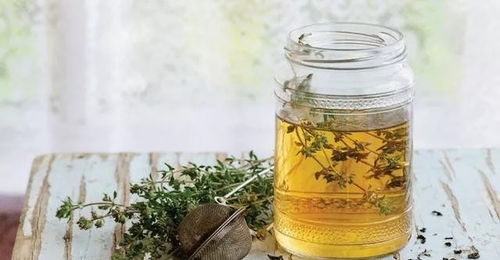 香草的药用价值