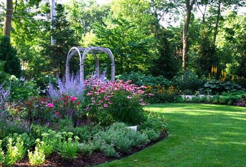 巴黎的绿意盎然：街头植物的五彩斑斓