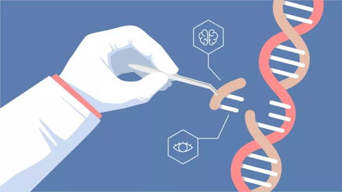 石生花如何通过科学的养护技巧实现快速生长