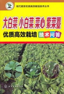 三、白菜苗期病虫害防治