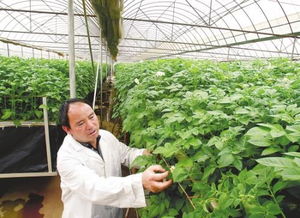 植物种子消毒，你做对了吗？