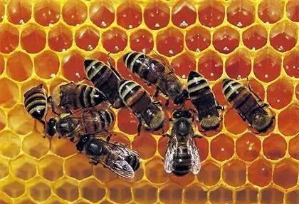 科学配比与平安使用