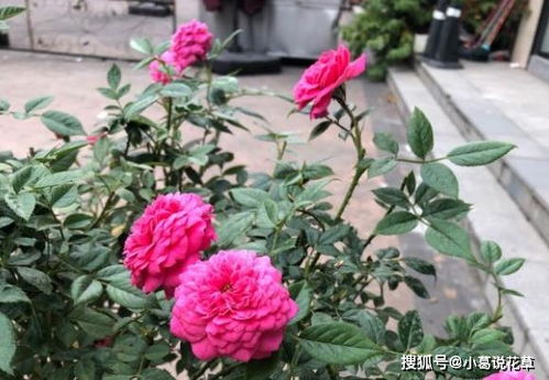 第一步：泡水大法好