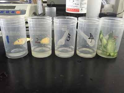 蔬菜农药残留检测，你了解多少？