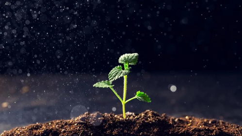 长白山脚下的冰雪奇缘