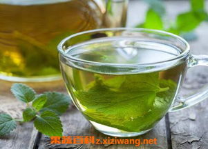 绿萝花泡水喝有哪些神奇功效？