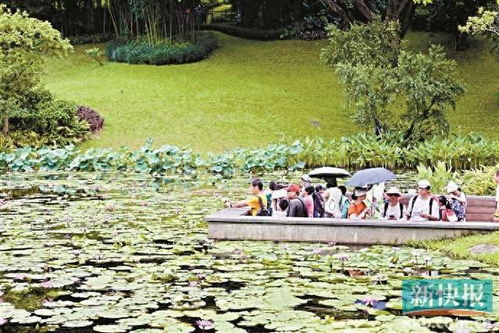 岭南园林的植物种类