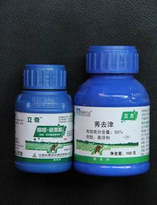 玉米种植的困扰与解决方案