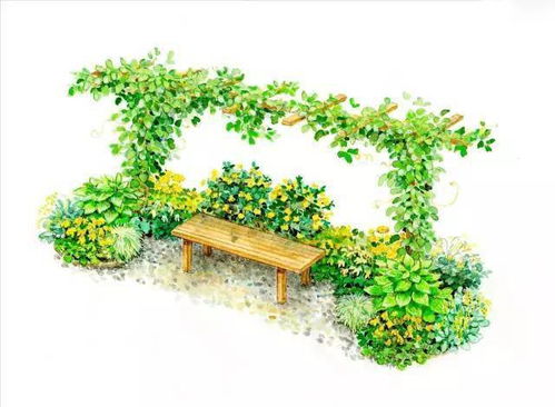 道旁花境品种搭配秘诀