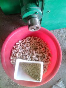 盐城市哪家饲料厂生产的饲料质量好，适合本地养殖户使用？