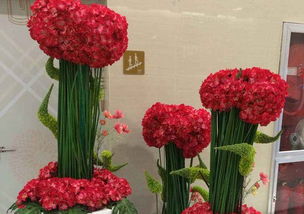 新闻汽车房产旅游时尚财经娱乐重庆植物租摆教你花卉租赁怎样选花