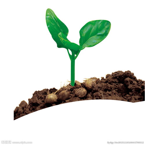 好处：美化环境， 心情好