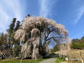 城市景观与乡村景观的区别大揭秘