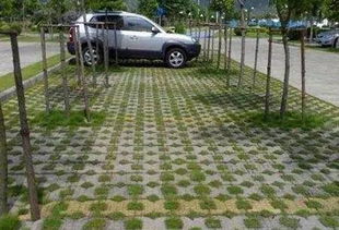 Q：草被压死了怎么办？