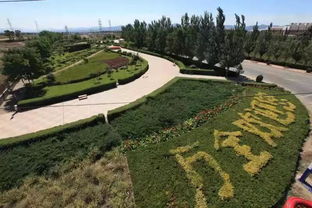 增加观赏性的树木