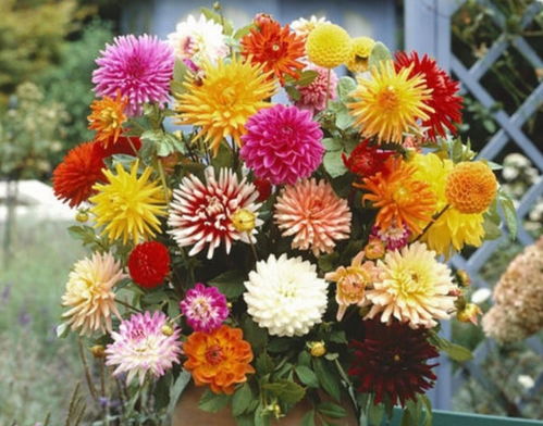 温度管理， 关键在细节