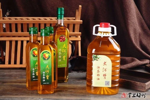 平远山茶油基地：高效培育优质茶油树苗指南