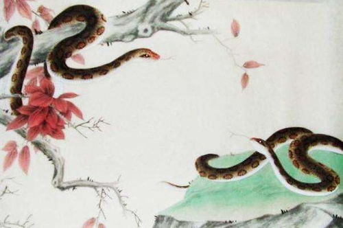 二、 如何防止蛇进入家中