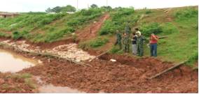 江岸野古草的护坡奇迹