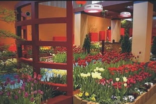 如何高效养护花卉，确保花店采购的植物健康成长