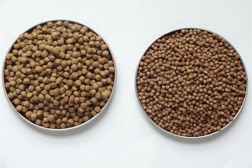饲料水分测定步骤中，为何检测到粗蛋白含量异常偏高？