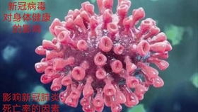 散沫花根腐病，巧用生物菌剂