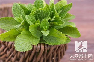 薄荷叶和玫瑰花泡水，有哪些神奇功效