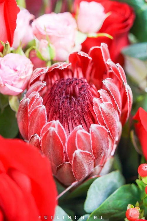 拍照，记录这份温暖