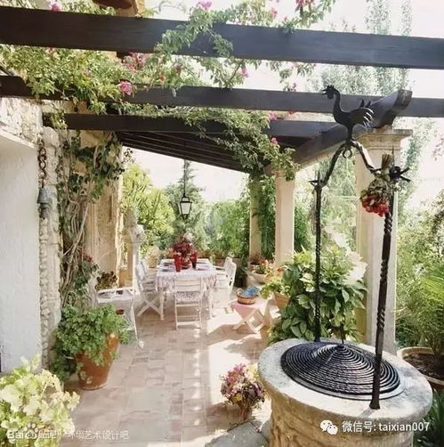 四、 省钱又出效果的秘籍：自己育苗比买成品节省67%费用