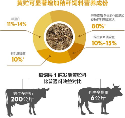 如何看懂进口饲料菌种费用构成？线上办理全流程能省15万吗？