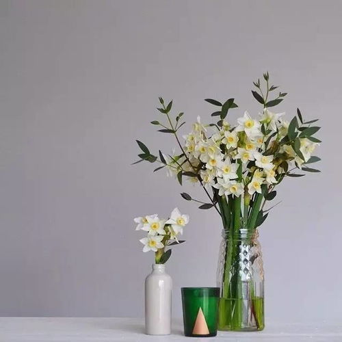 花草树木的形态与线条艺术