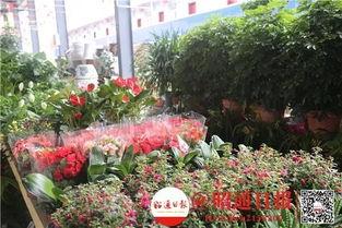 花卉市场搬迁，城市发展必然趋势