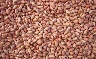 用药也要讲究方法