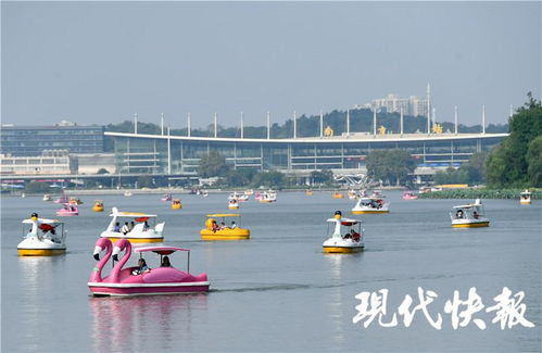 南京，美丽的地方，监理的队伍