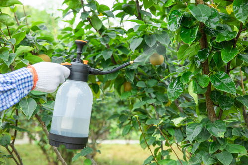 环保高效，双重追求