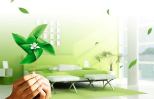 除甲醛的学问，一平米要花多少钱？