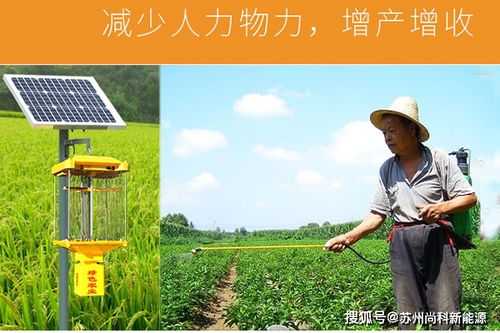 第一步：kan虫识药，别再乱用药了！