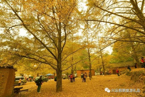 我想起以前的事